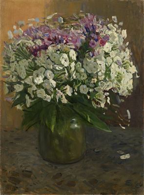 Still Life with Phloxes