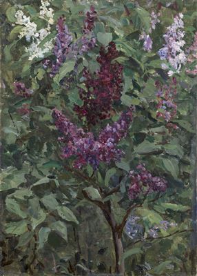 Lilac Bush
