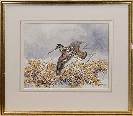 WOODCOCK by Brian Rawling - Auction record, sale price, and art valuation. Compare with similar artists and explore comparable artworks.