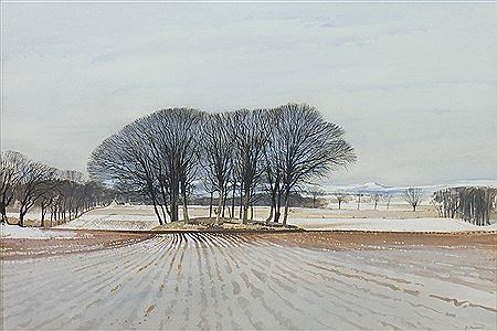 WINTER LANDSCAPE