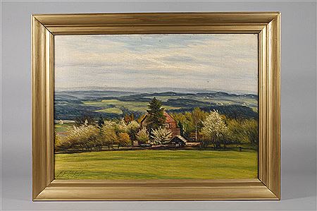 Frühlingshafte Vogtlandlandschaft