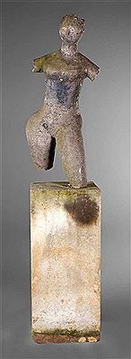 Torso