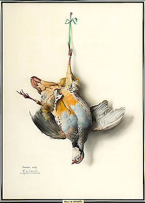 Trophée de perdreau