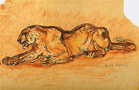 Etude de lionne