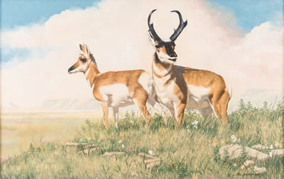On the Plains