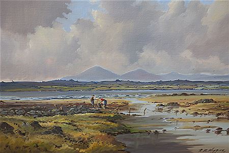 Seaweed Gathering Strangford
