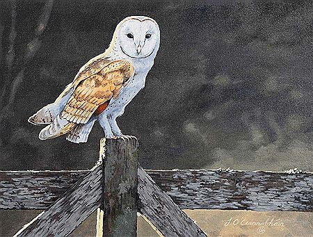 Reside by Twlight by Jason O'Ceannobhain - Auction record, sale price, and art valuation. Compare with similar artists and explore comparable artworks.
