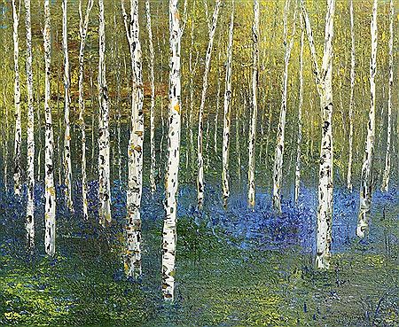 Birch and Bluebells