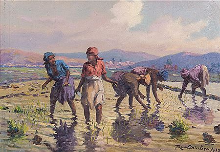 Dans la risière