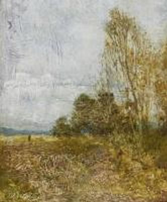 Moorland landscape