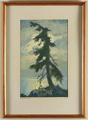 TREE AGAINST THE STORM