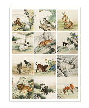 Album of Animals (12)