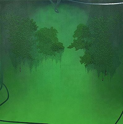 HANGING GARDEN