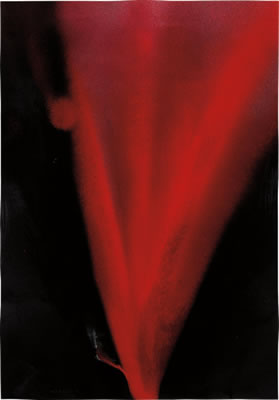 Untitled from Flowers by Michio Yoshihara - Auction record, sale price, and art valuation. Compare with similar artists and explore comparable artworks.