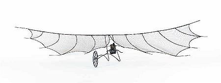 Hang glider