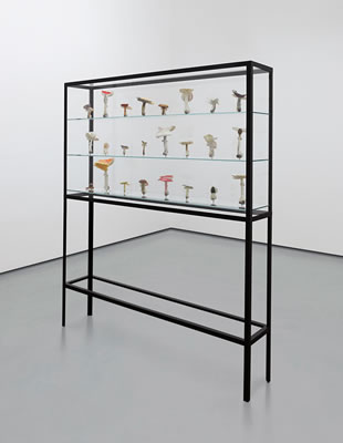 Doppelpilzvitrine (24 Doppelpilze) by Carsten Holler - Auction record, sale price, and art valuation. Compare with similar artists and explore comparable artworks.