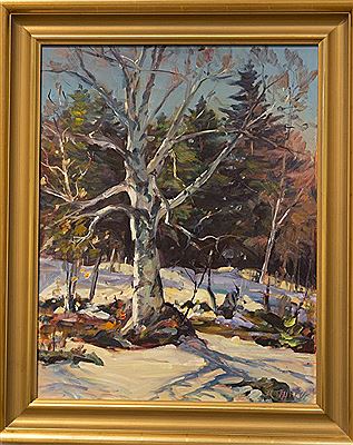Winter Birch