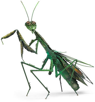 "Mantis"