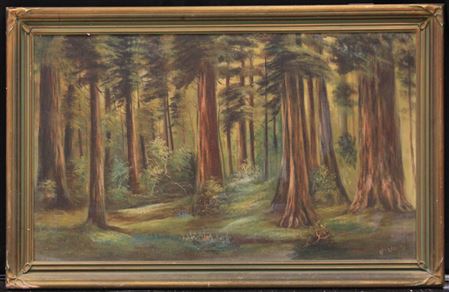 Wooded landscape