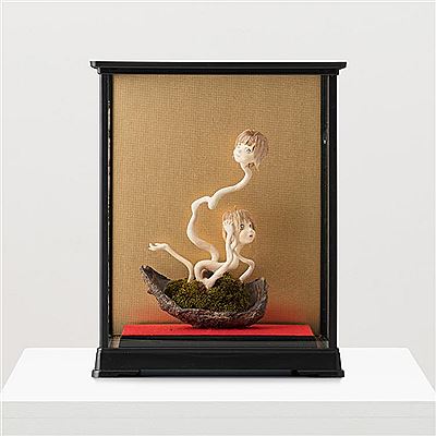 AIDA MakotoxKATO Ai - Ai-chan BONSAI (Ground Cherry) by Edward Miles - Auction record, sale price, and art valuation. Compare with similar artists and explore comparable artworks.