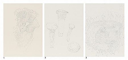 Works (3)