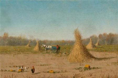 Pumpkin Harvest