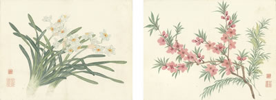 NARCISSUS; PEACH BLOSSOMS (2)