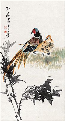 Golden Pheasant