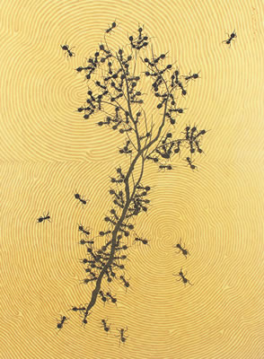 Composition of Nature