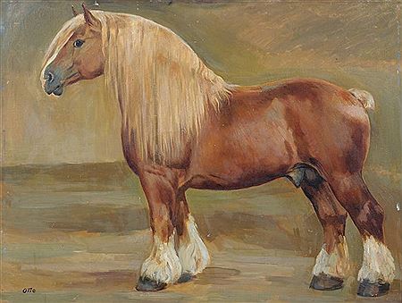 Haflinger.