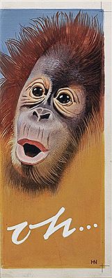 Orang Utan.