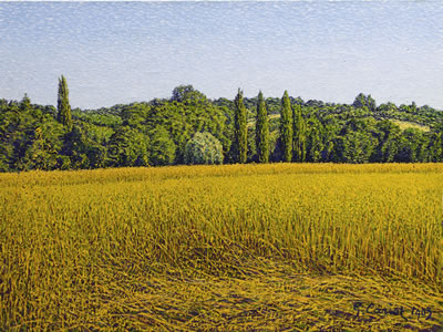 LE CHAMP DE BLÉ