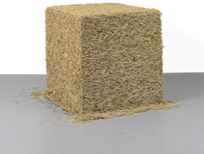 TOOTHPICKS