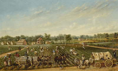 THE COTTON PLANTATION