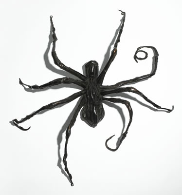 SPIDER IV