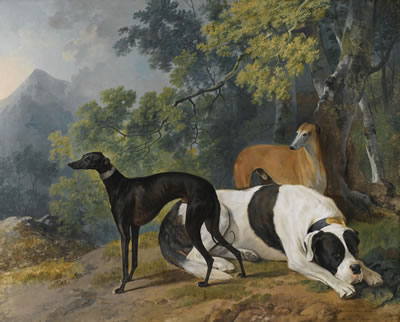TWO GREYHOUNDS AND A MASTIF BELONGING TO THE DUKE OF HAMILTON by Sawrey Gilpin - Auction record, sale price, and art valuation. Compare with similar artists and explore comparable artworks.