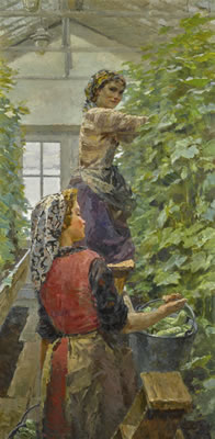 CUCUMBER PICKING