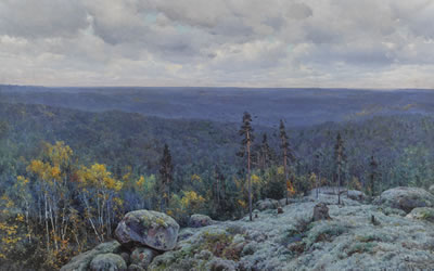 WOODLAND LANDSCAPE