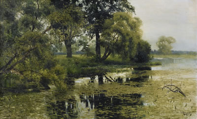 OVERGROWN POND