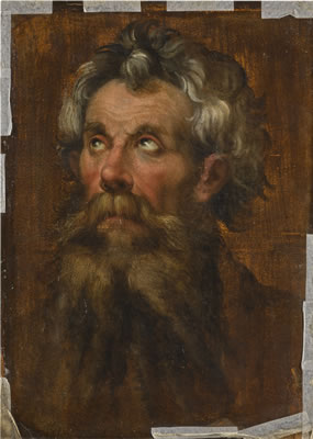 STUDY FOR THE HEAD OF A MAN LOOKING UP