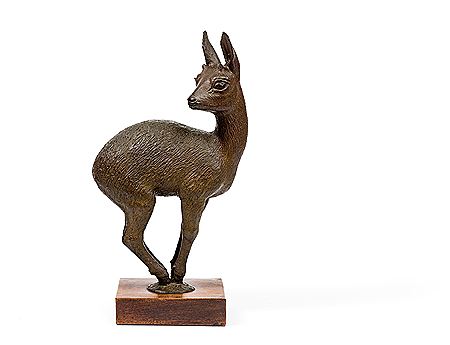 Klipspringer