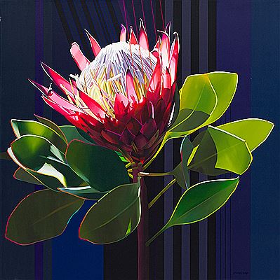 Protea II...The Electric Essence