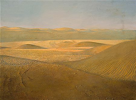 Desert Evening near Lüderitz