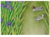 Waterside of May