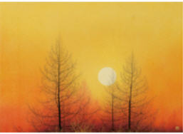 Paine Forest in Red