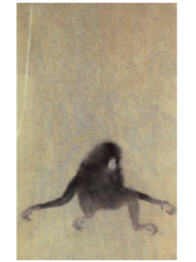 Monkey