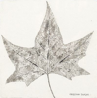 Hoja