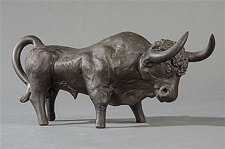 "Toro de lidia"