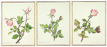 Roses and Butterflie (3)