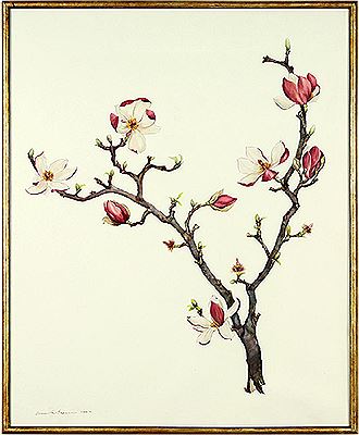 Flowering Branch